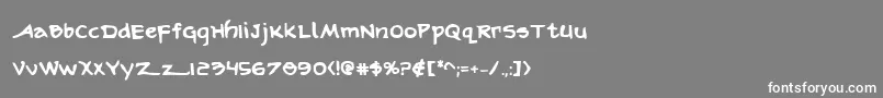 フォントArilonb – 灰色の背景に白い文字