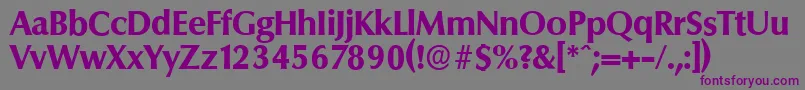Czcionka ColumbiaserialXboldRegular – fioletowe czcionki na szarym tle
