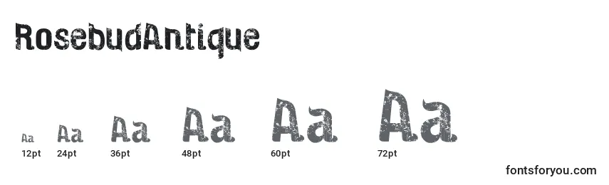 Размеры шрифта RosebudAntique