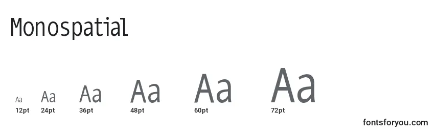 Размеры шрифта Monospatial