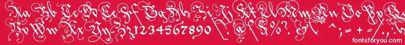 Lovlab2u-Schriftart – Weiße Schriften auf rotem Hintergrund