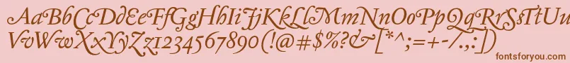 Jannontmoderneswash Font – Brown Fonts on Pink Background