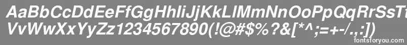 SansPsBolditalic Font – White Fonts on Gray Background
