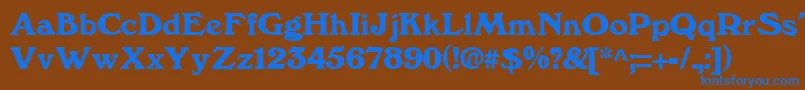 WindsorRegular Font – Blue Fonts on Brown Background