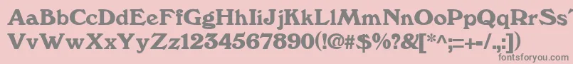 WindsorRegular Font – Gray Fonts on Pink Background