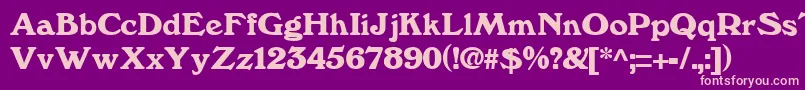 WindsorRegular Font – Pink Fonts on Purple Background