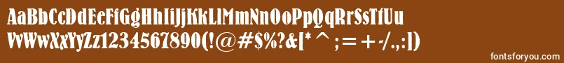 Bernie Font – White Fonts on Brown Background