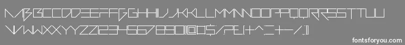 VerminVibesDiet Font – White Fonts on Gray Background