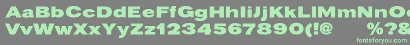 Pravdac-Schriftart – Grüne Schriften auf grauem Hintergrund