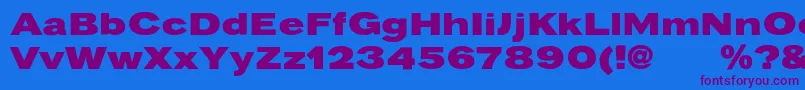Pravdac Font – Purple Fonts on Blue Background