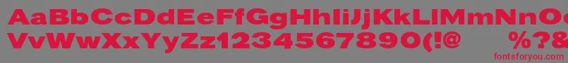 Pravdac Font – Red Fonts on Gray Background