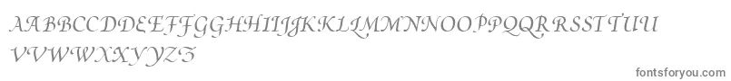 Шрифт PoeticaSuppSwashCapitalsI – серые шрифты на белом фоне
