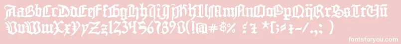 1454GutenbergBibel Font – White Fonts on Pink Background