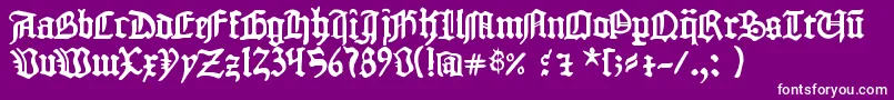 1454GutenbergBibel Font – White Fonts on Purple Background