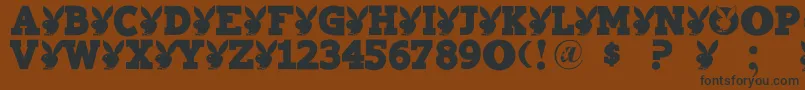 Playtoy Font – Black Fonts on Brown Background