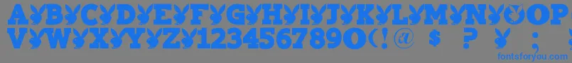 Playtoy Font – Blue Fonts on Gray Background