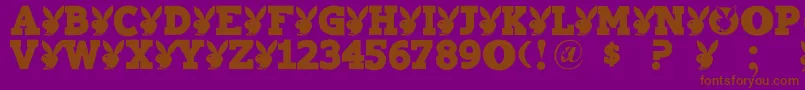 Playtoy-fontti – ruskeat fontit violetilla taustalla
