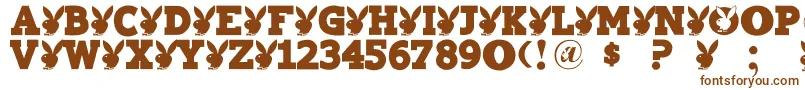 Шрифт Playtoy – коричневые шрифты на белом фоне