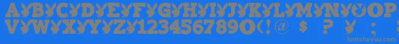 Playtoy Font – Gray Fonts on Blue Background