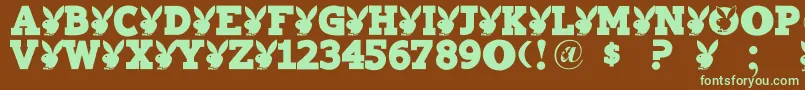 Playtoy-fontti – vihreät fontit ruskealla taustalla