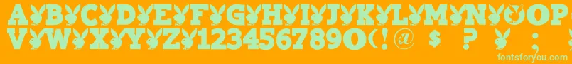 Playtoy-fontti – vihreät fontit oranssilla taustalla