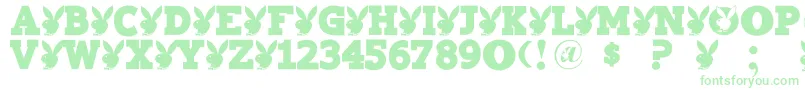 Playtoy Font – Green Fonts on White Background