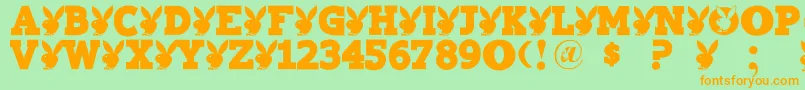 Playtoy Font – Orange Fonts on Green Background