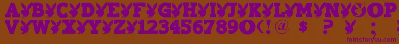 Playtoy Font – Purple Fonts on Brown Background