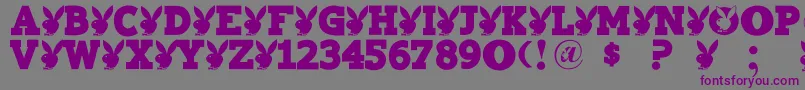 Playtoy-fontti – violetit fontit harmaalla taustalla