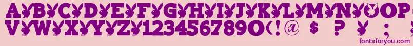 Playtoy Font – Purple Fonts on Pink Background