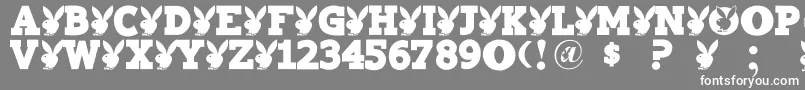 Playtoy-fontti – valkoiset fontit harmaalla taustalla