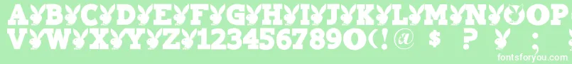 Playtoy Font – White Fonts on Green Background