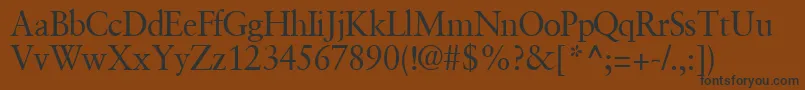 GaramondretrospectivesskRegular Font – Black Fonts on Brown Background