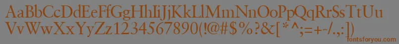 GaramondretrospectivesskRegular Font – Brown Fonts on Gray Background