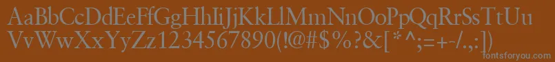 GaramondretrospectivesskRegular-fontti – harmaat kirjasimet ruskealla taustalla