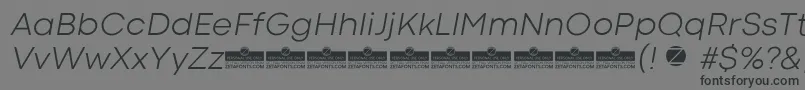 フォントCodecColdLightItalicTrial – 黒い文字の灰色の背景