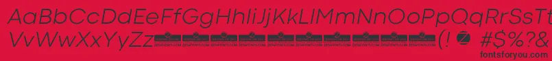 CodecColdLightItalicTrial Font – Black Fonts on Red Background