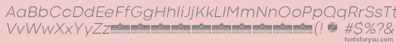CodecColdLightItalicTrial Font – Gray Fonts on Pink Background