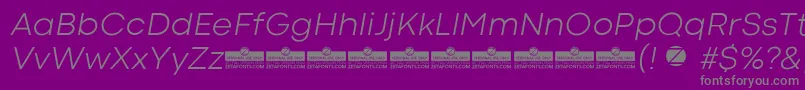 CodecColdLightItalicTrial-Schriftart – Graue Schriften auf violettem Hintergrund