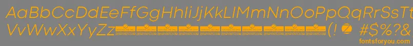 CodecColdLightItalicTrial-Schriftart – Orangefarbene Schriften auf grauem Hintergrund