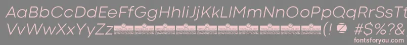 フォントCodecColdLightItalicTrial – 灰色の背景にピンクのフォント