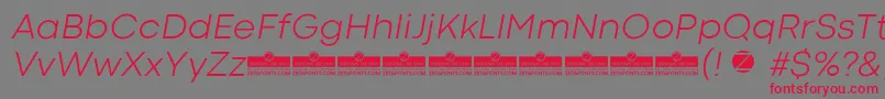 フォントCodecColdLightItalicTrial – 赤い文字の灰色の背景