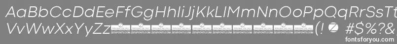 フォントCodecColdLightItalicTrial – 灰色の背景に白い文字