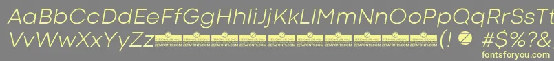 CodecColdLightItalicTrial Font – Yellow Fonts on Gray Background