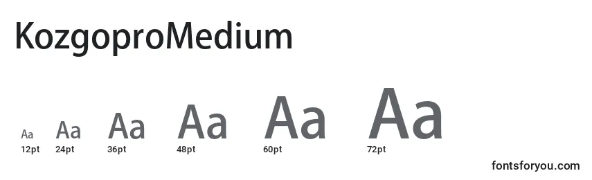 KozgoproMedium Font Sizes