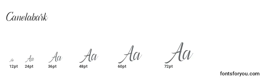 Размеры шрифта Canelabark