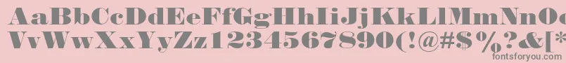 Falstaffmtstd Font – Gray Fonts on Pink Background