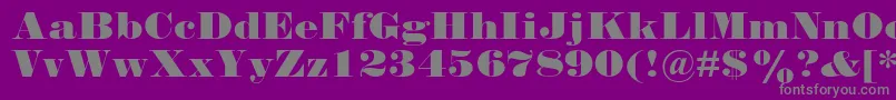 More about Falstaffmtstd Font Falstaffmtstd Font – Gray Fonts on Purple Background