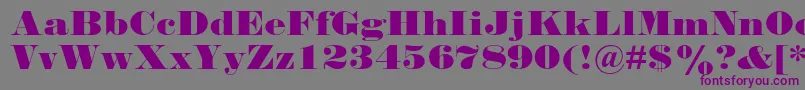Falstaffmtstd-fontti – violetit fontit harmaalla taustalla
