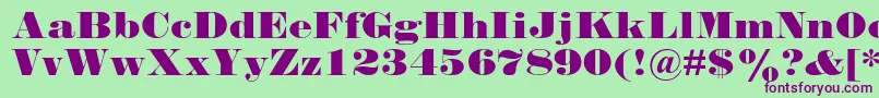 Falstaffmtstd Font – Purple Fonts on Green Background